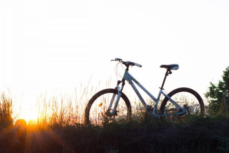 thule fietsendrager